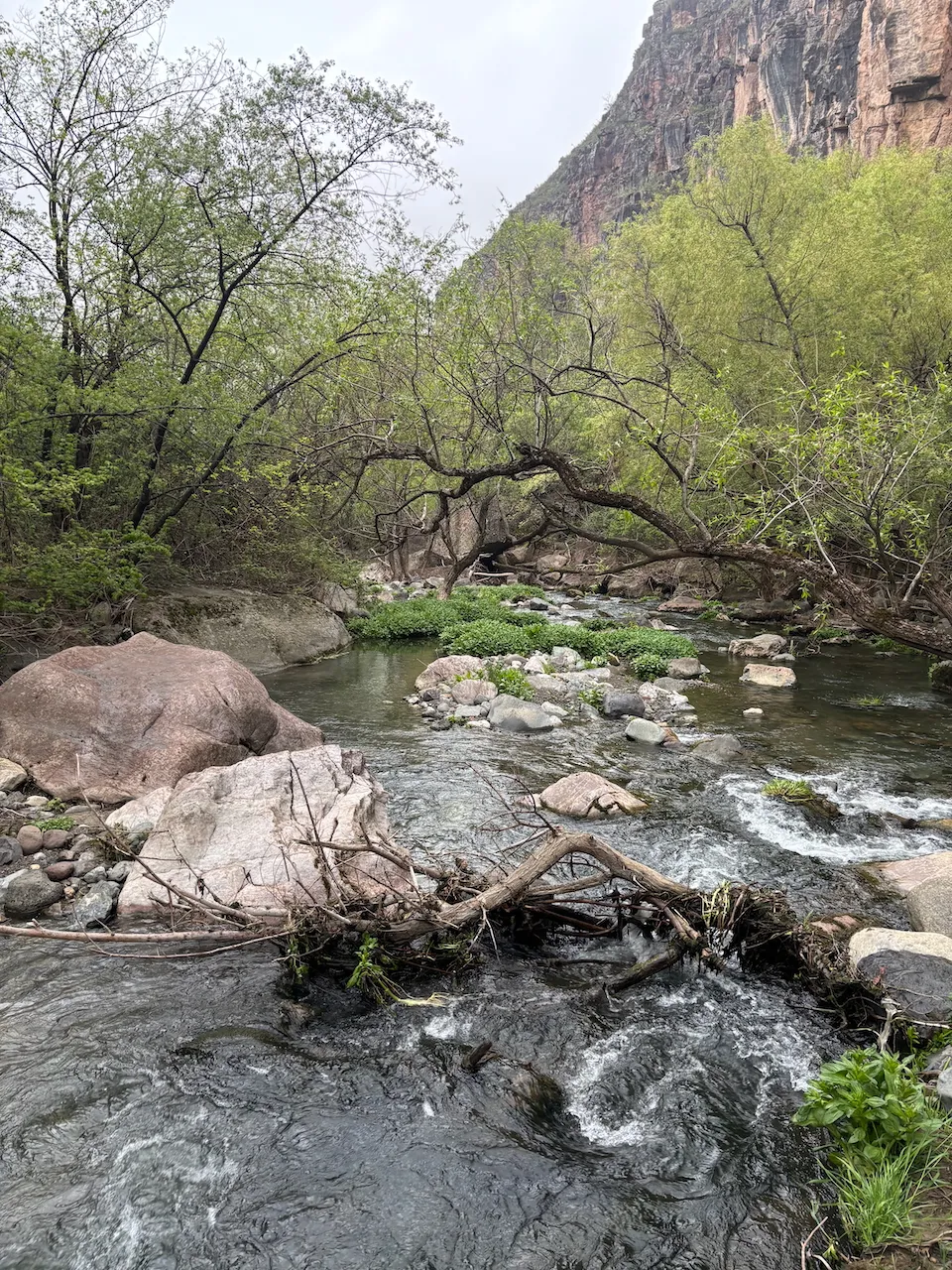 Hiking